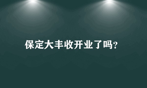 保定大丰收开业了吗？