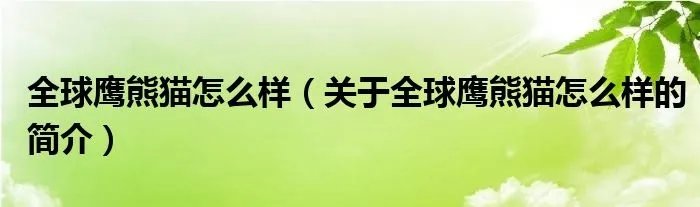 全球鹰熊猫怎么样（关于全球鹰熊猫怎么样的简介）