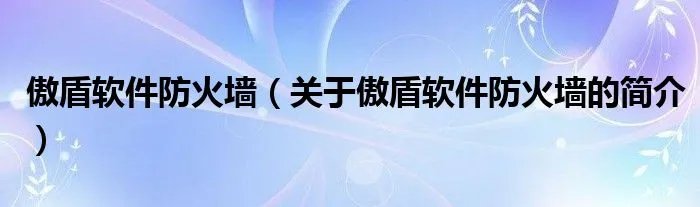 傲盾软件防火墙（关于傲盾软件防火墙的简介）
