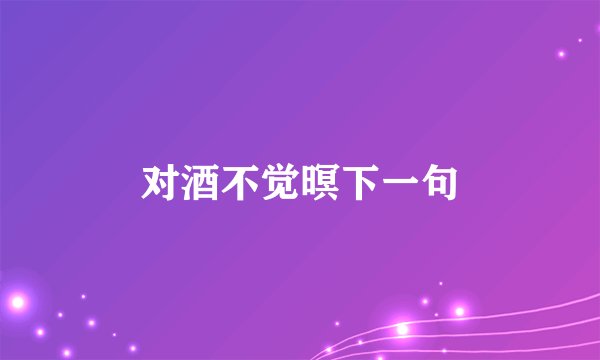 对酒不觉暝下一句