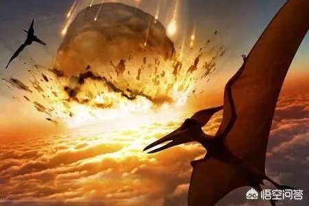 科学家发现2.2亿年前恐龙墓,谁给安葬的呀?
