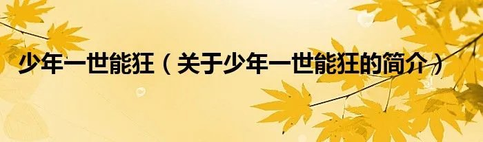 少年一世能狂（关于少年一世能狂的简介）