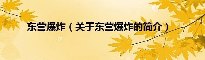 东营爆炸（关于东营爆炸的简介）