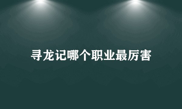 寻龙记哪个职业最厉害