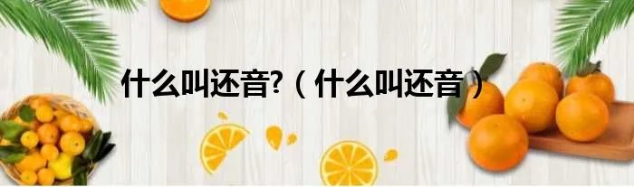 什么叫还音?(什么叫还音)