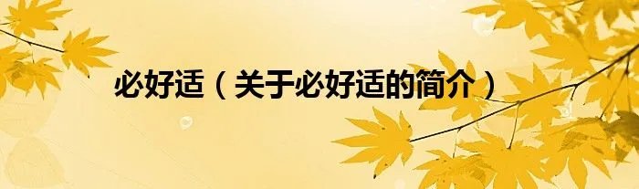 必好适（关于必好适的简介）