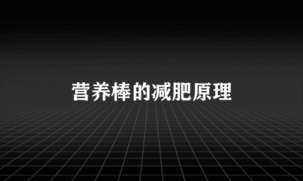 营养棒的减肥原理
