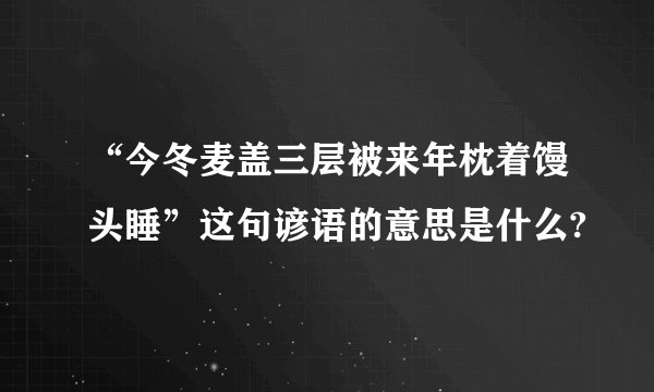 “今冬麦盖三层被来年枕着馒头睡”这句谚语的意思是什么?