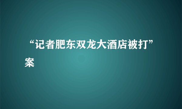 “记者肥东双龙大酒店被打”案