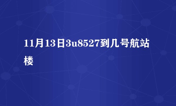 11月13日3u8527到几号航站楼