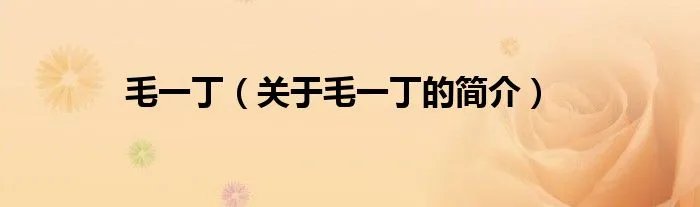 毛一丁（关于毛一丁的简介）