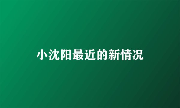 小沈阳最近的新情况