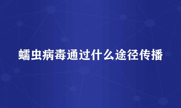 蠕虫病毒通过什么途径传播