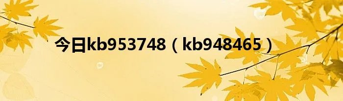 今日kb953748（kb948465）