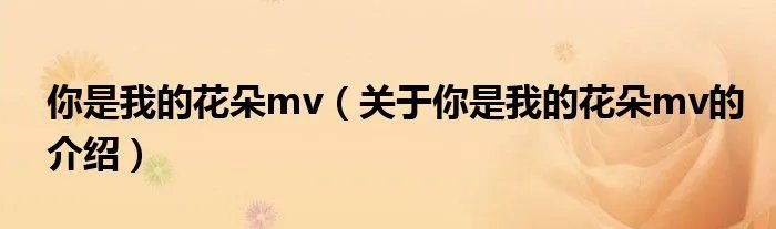 你是我的花朵mv（关于你是我的花朵mv的介绍）