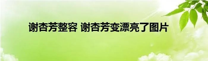 谢杏芳整容 谢杏芳变漂亮了图片