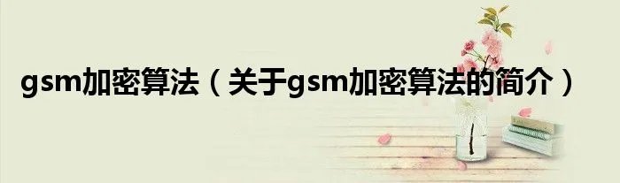 gsm加密算法（关于gsm加密算法的简介）