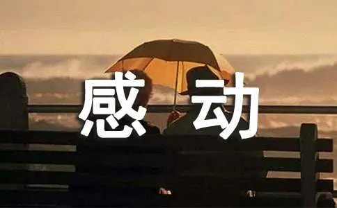 那句话让我感动作文