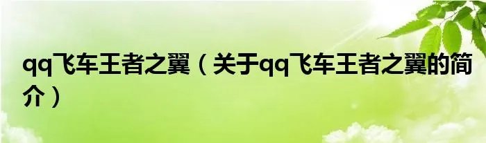 qq飞车王者之翼（关于qq飞车王者之翼的简介）