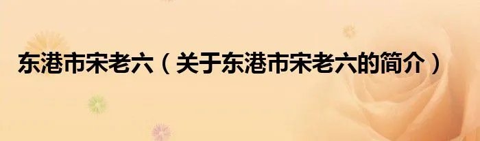 东港市宋老六（关于东港市宋老六的简介）