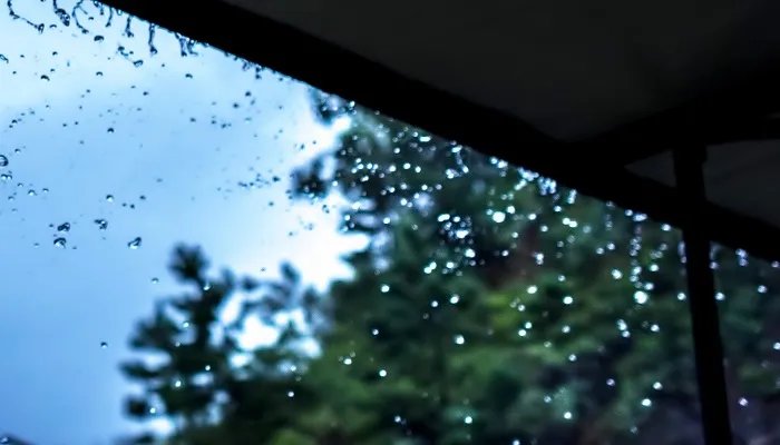 全年高温多雨的气候类型是 全年高温多雨的气候类型是什么气候