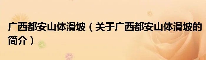 广西都安山体滑坡（关于广西都安山体滑坡的简介）