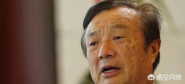 华为将从全世界招天才少年，请问“天才”的标准是什么？