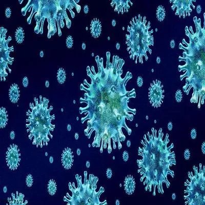 禽流感怎样预防与控制