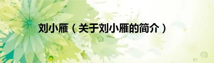 刘小雁（关于刘小雁的简介）