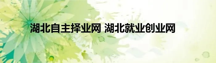 湖北自主择业网 湖北就业创业网