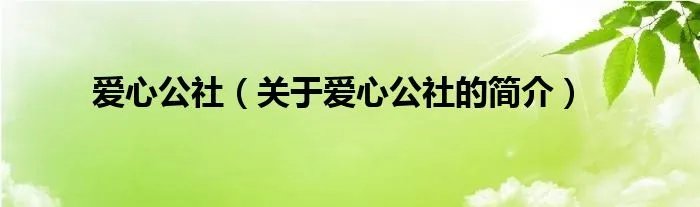 爱心公社（关于爱心公社的简介）