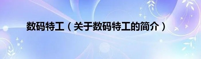 数码特工（关于数码特工的简介）
