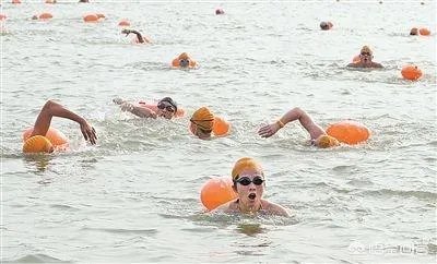 浙江游泳队为什么那么厉害?