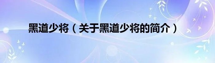 黑道少将（关于黑道少将的简介）