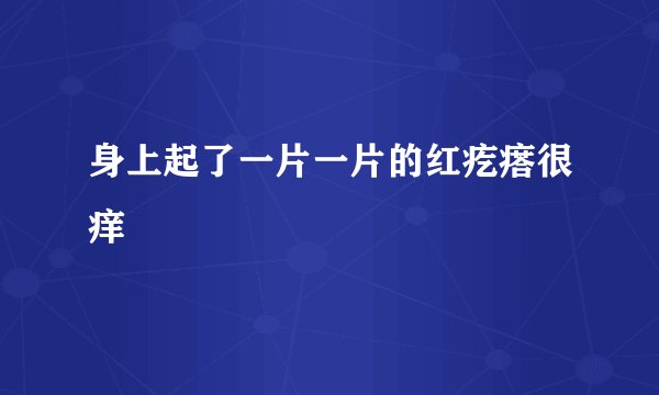 身上起了一片一片的红疙瘩很痒