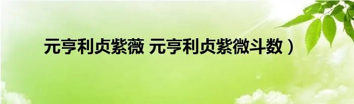 元亨利贞紫薇 元亨利贞紫微斗数）