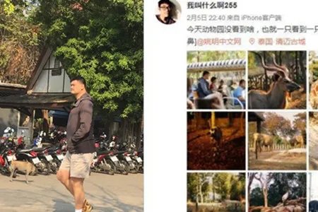 姚明携妻女游泰国打扮低调 一家三口湖中划船很是温馨