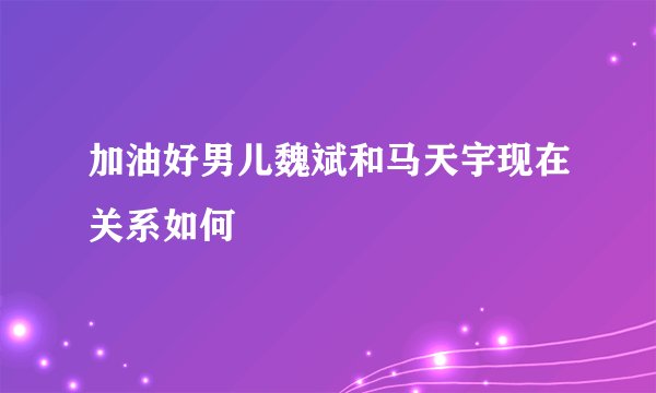 加油好男儿魏斌和马天宇现在关系如何