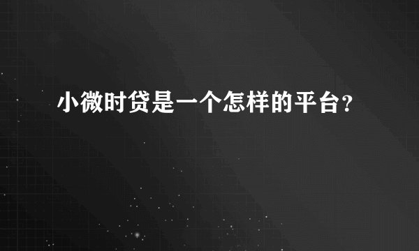 小微时贷是一个怎样的平台？