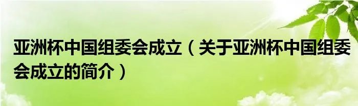亚洲杯中国组委会成立（关于亚洲杯中国组委会成立的简介）