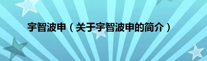 宇智波申（关于宇智波申的简介）