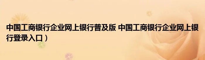 中国工商银行企业网上银行普及版 中国工商银行企业网上银行登录入口）