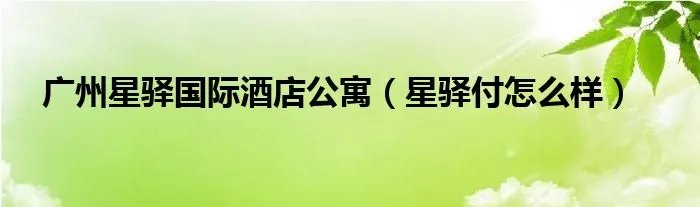 广州星驿国际酒店公寓（星驿付怎么样）