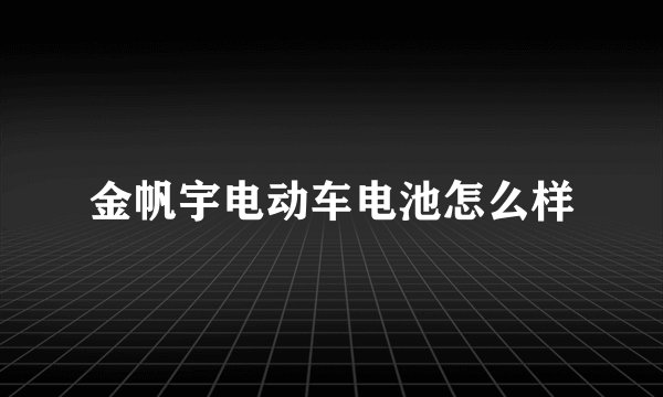 金帆宇电动车电池怎么样