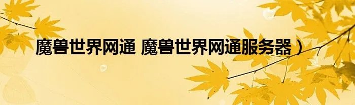 魔兽世界网通 魔兽世界网通服务器）