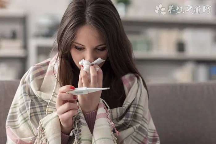 犬瘟症状有哪些 从潜伏期到感染期分析