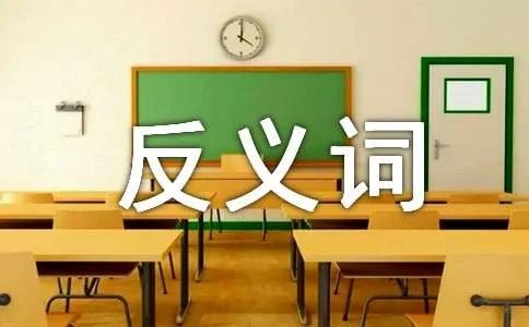 文质彬彬的反义词