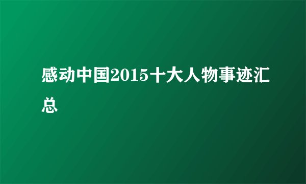 感动中国2015十大人物事迹汇总