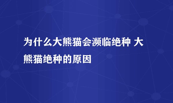 为什么大熊猫会濒临绝种 大熊猫绝种的原因
