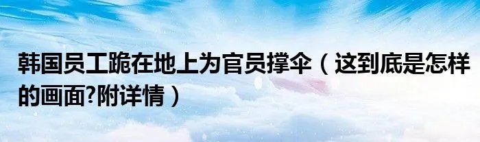 韩国员工跪在地上为官员撑伞（这到底是怎样的画面?附详情）